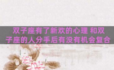 双子座有了新欢的心理 和双子座的人分手后有没有机会复合